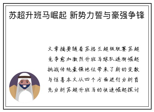 苏超升班马崛起 新势力誓与豪强争锋 苏超升班马崛起 新势力誓与豪强争锋